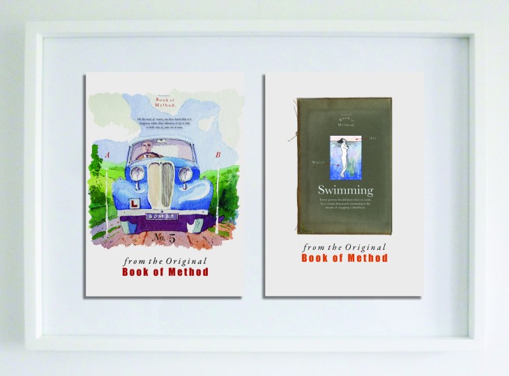 Driving Swimming framed a